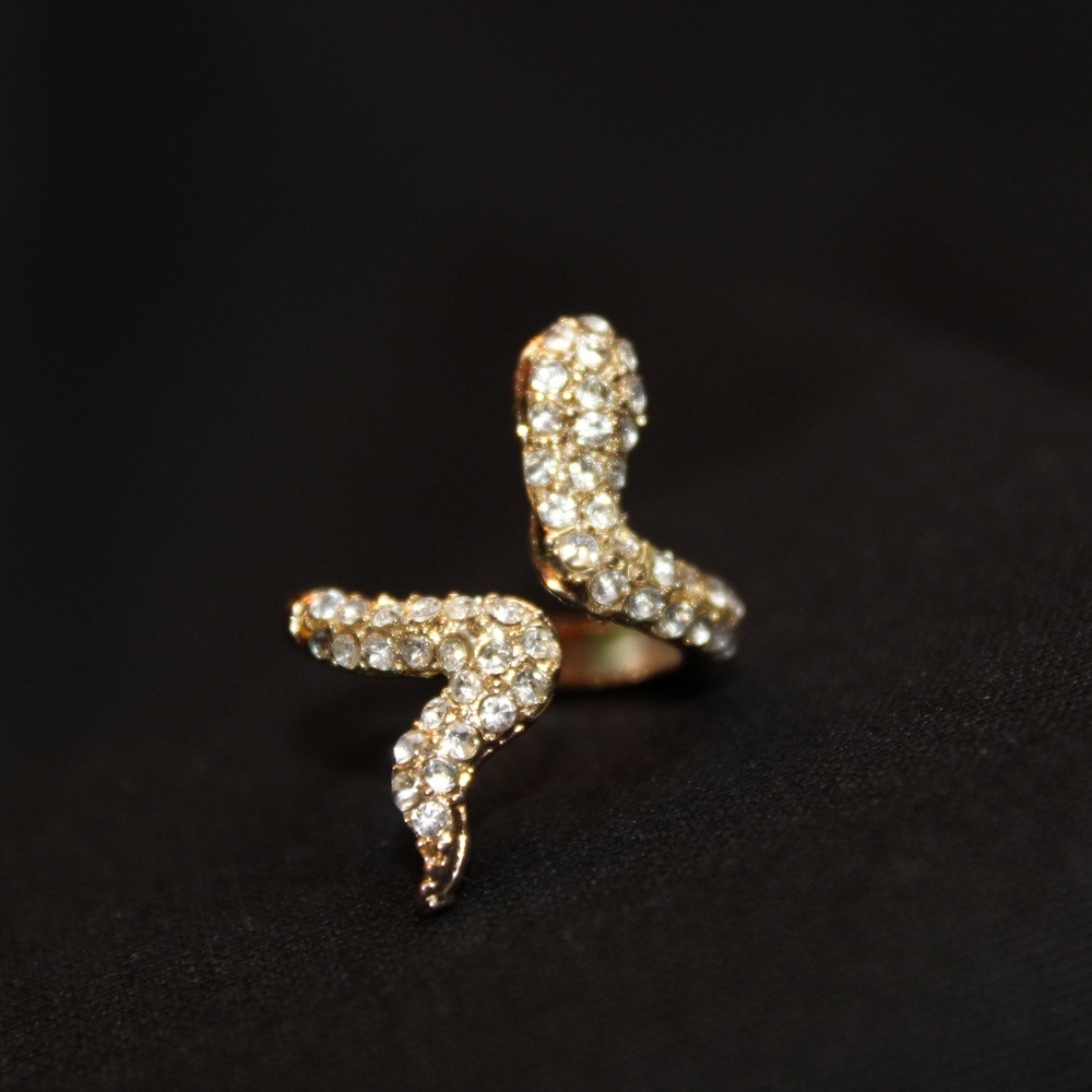 Snake Ring